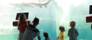 Famille au Grand Aquarium de Saint-Malo